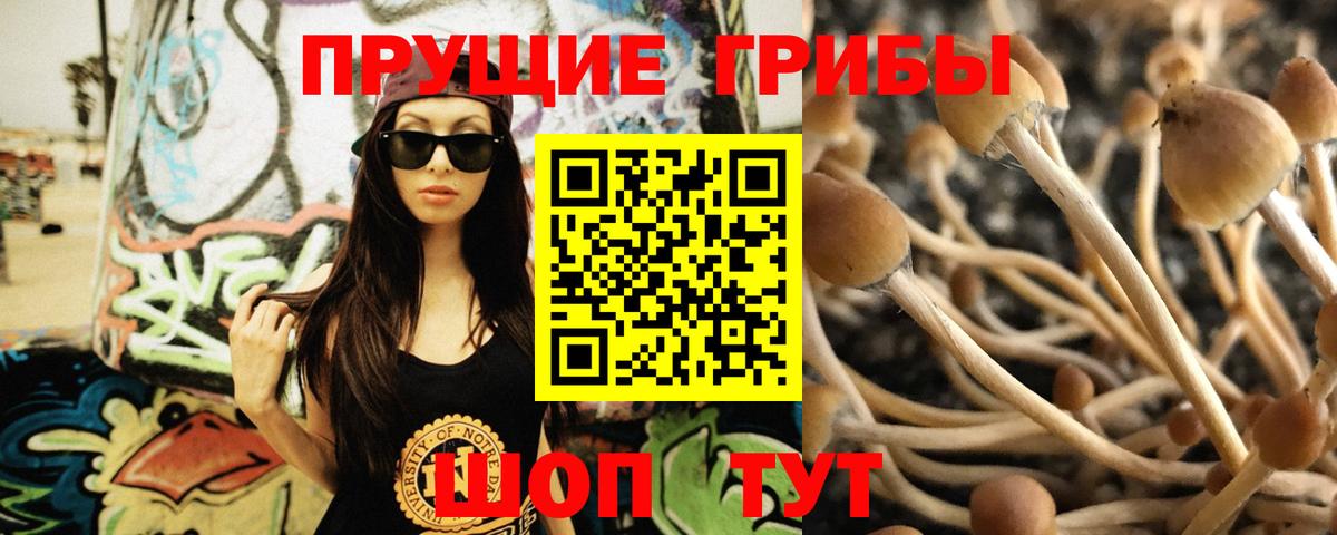 Псилоцибиновые грибы MAGIC MUSHROOMS  Вход с VPN  Обнинск 