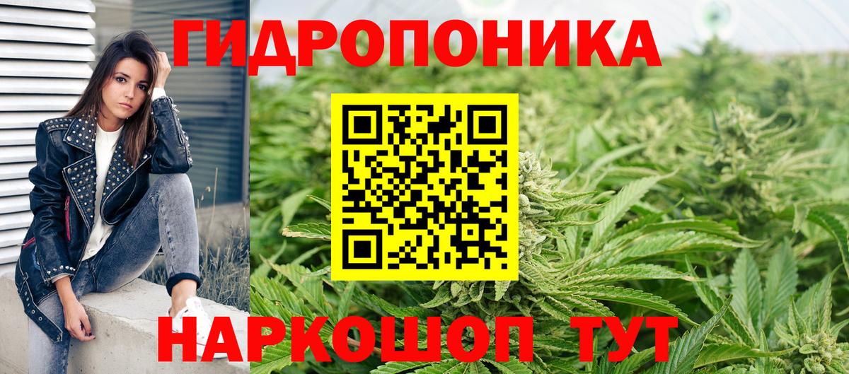 Шишки марихуана Bruce Banner  Вход с VPN  Обнинск  Бошки марихуана индика 